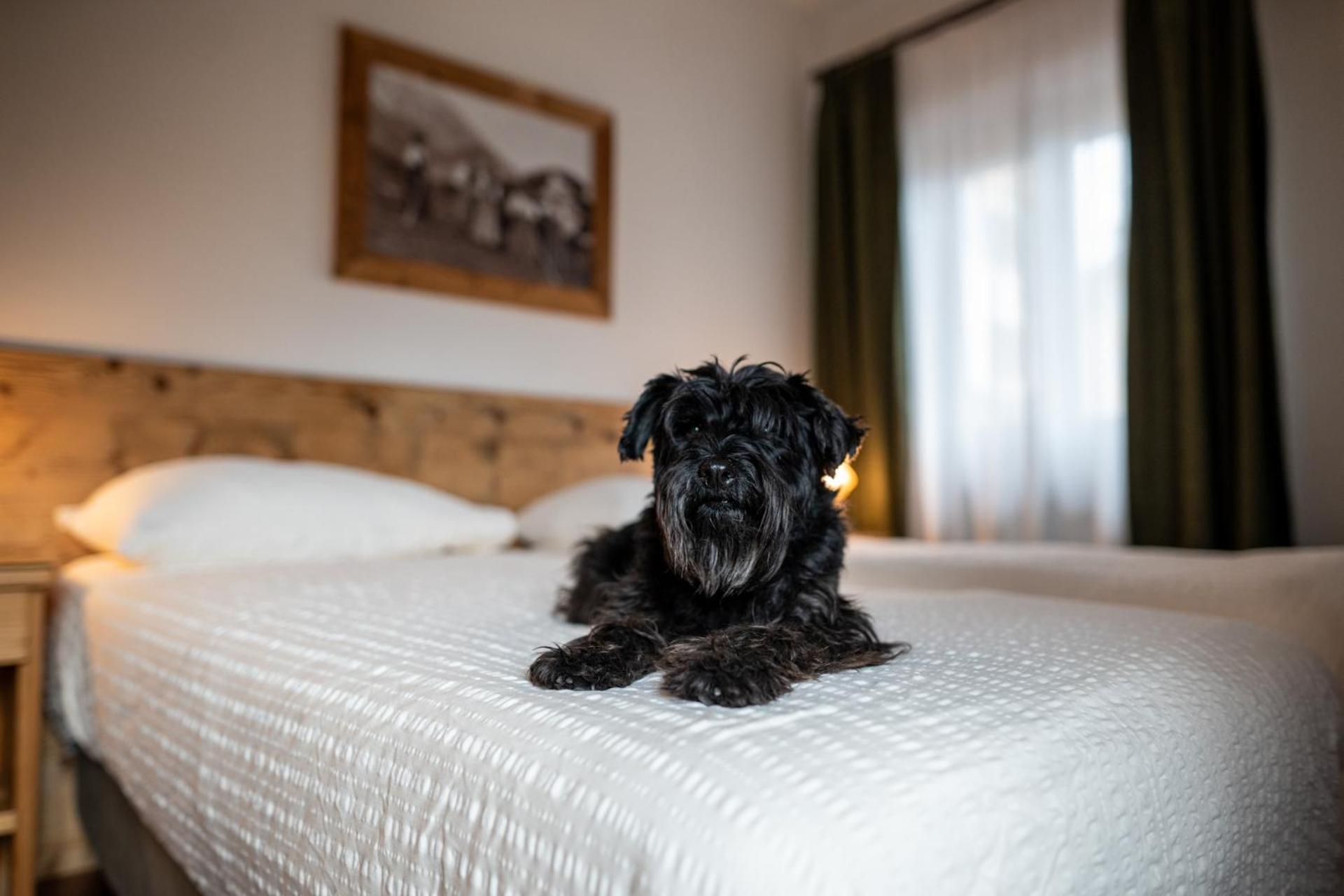 Hotel Panda Cortina- ricarica auto elettriche Cortina dʼAmpezzo Esterno foto